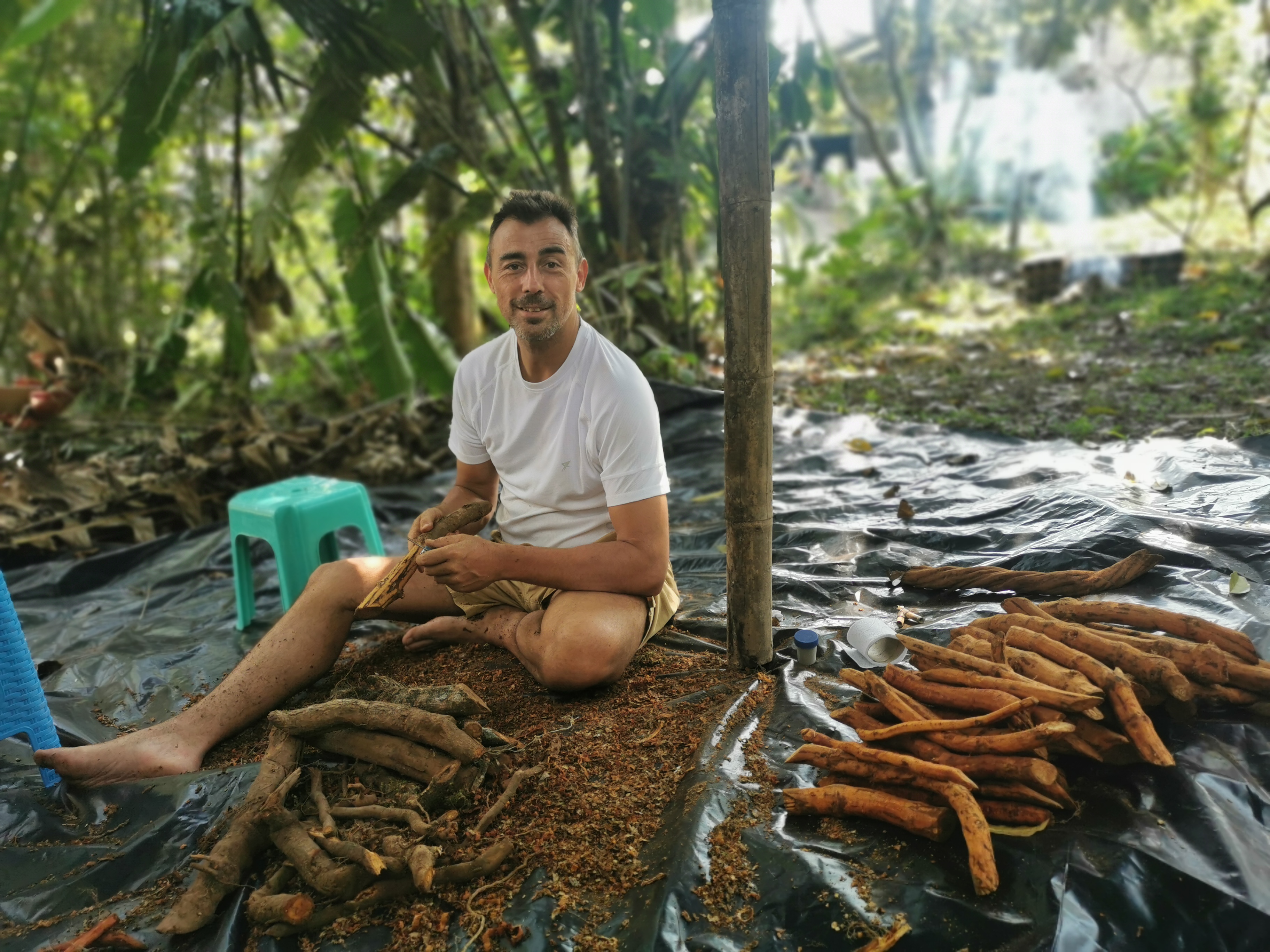 rpt facilitador ayahuasca
